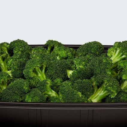 Broccoli