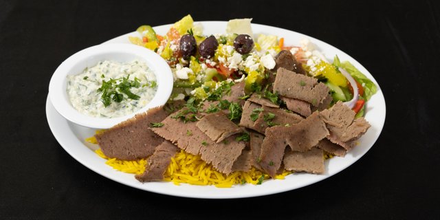 Gyro Plate