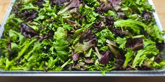 Salad Tray