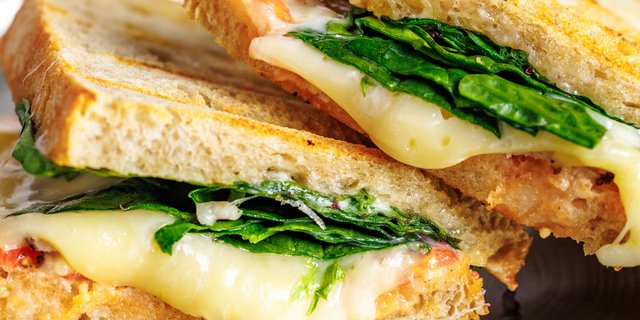 Turkey Sandwich