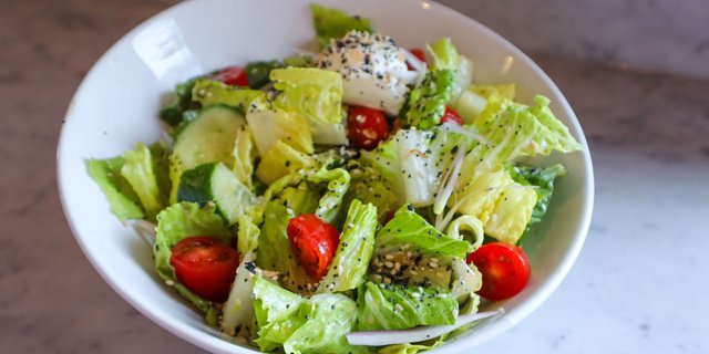 Everything But The Lox Salad Box Lunch