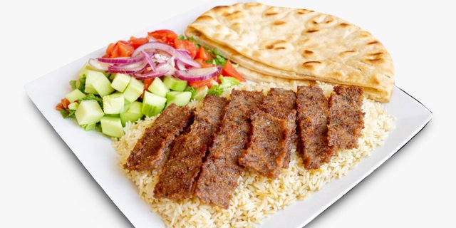 Gyro Plate