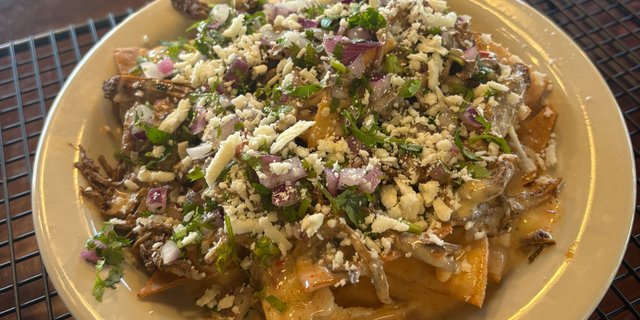 Birria Chips