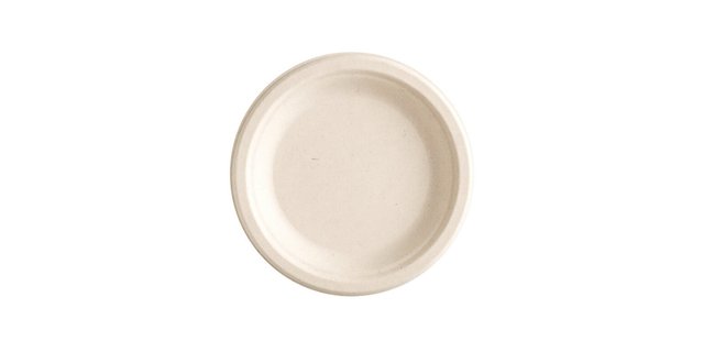 6" Plate