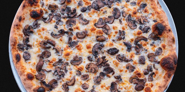 Porcini & Truffle Pie
