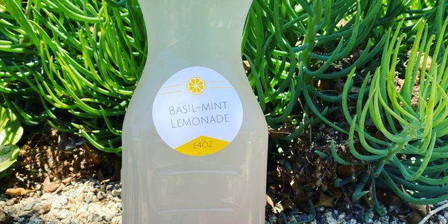 Half Gallon Basil-Mint Lemonade
