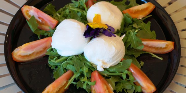 Burrata Salad