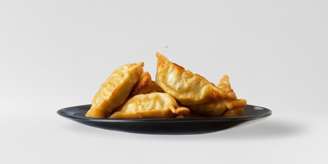 Fried Gyoza