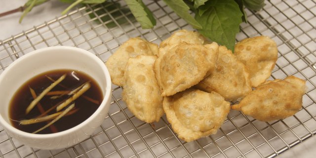 Fried Pork Dumplings