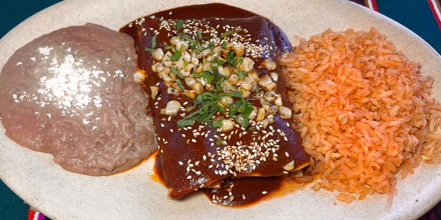 Chicken Mole Enchilada
