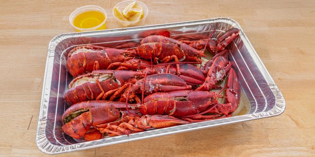 Fresh Catch Lobster Platter