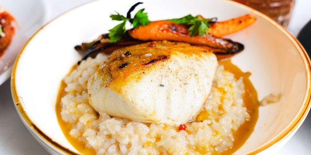 Halibut