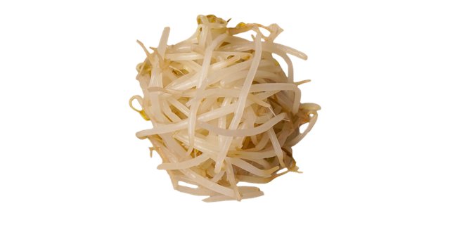 Bean Sprout
