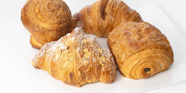 Cinnamon Koign Amann