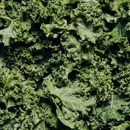 Organic Shredded Kale