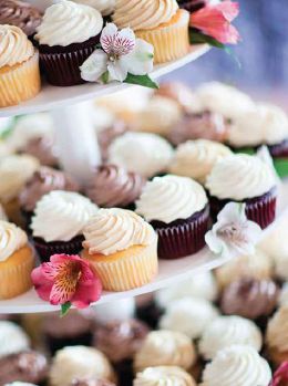 Mini Cupcakes