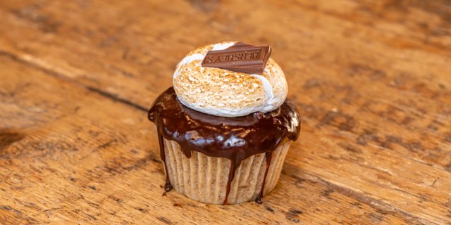 S'mores Cupcake