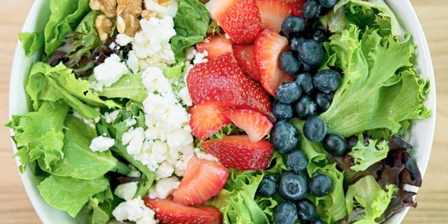 Salad Box Lunches