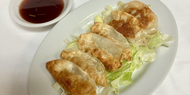 Fried Pork Dumplings