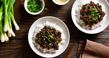 Gogi on the Go