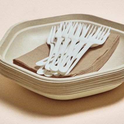 Plates, Forks & Napkins Kit