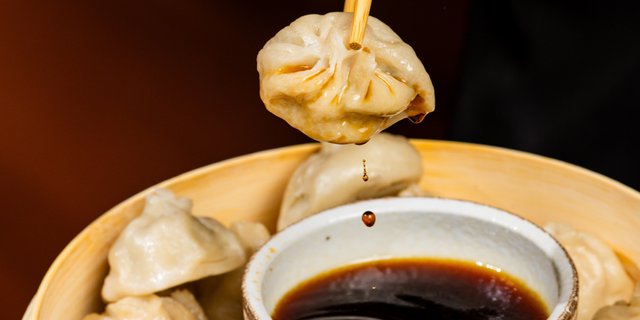 Chicken Dumplings