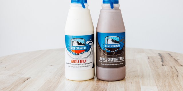 Chocolate Milk