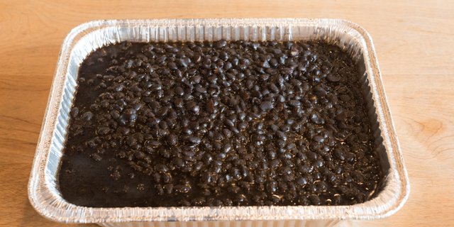 Black Beans