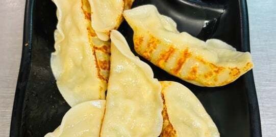 Pan Fried Chicken Dumplings