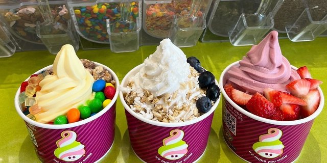 Assorted No Sugar Added Frozen Yogurt