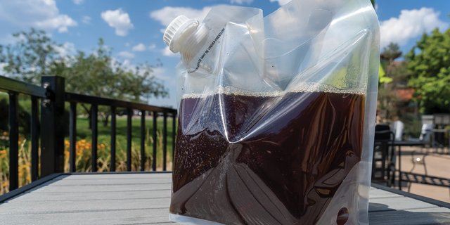 Black Tea
