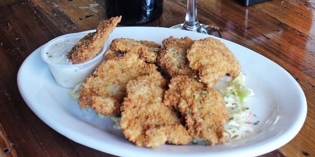 Gator Bites
