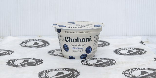 Greek Yogurt Cup