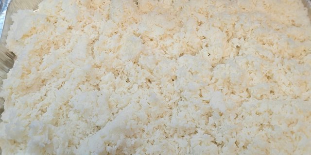 Rice Tray