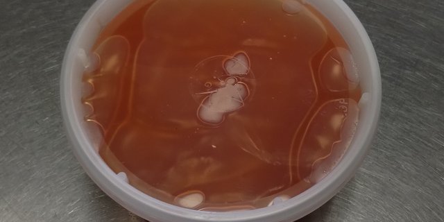 Sweet & Sour Sauce