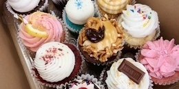 Full-Size Cupcake Dozen