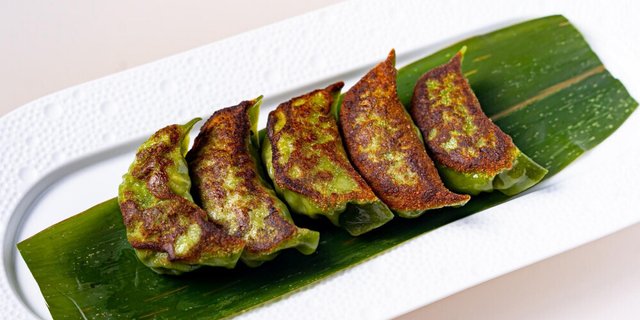 Homemade Gyoza