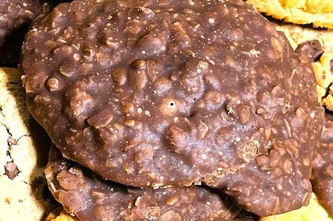 Mini No-Bake Cookies