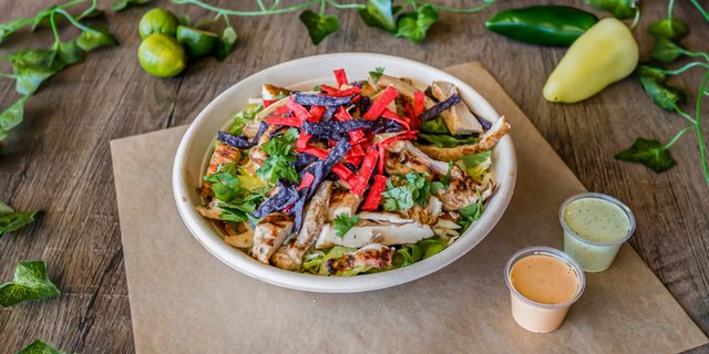 Grilled Chicken Salad