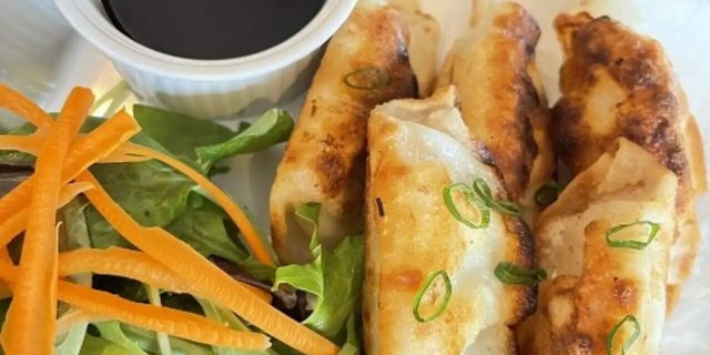 Fried Dumplings