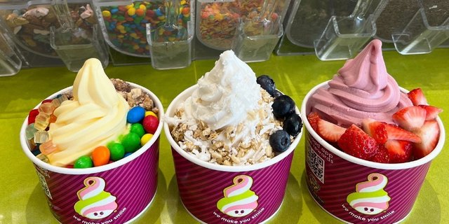 Assorted Low-Carb Frozen Yogurt