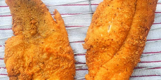Southern Catfish Fillets