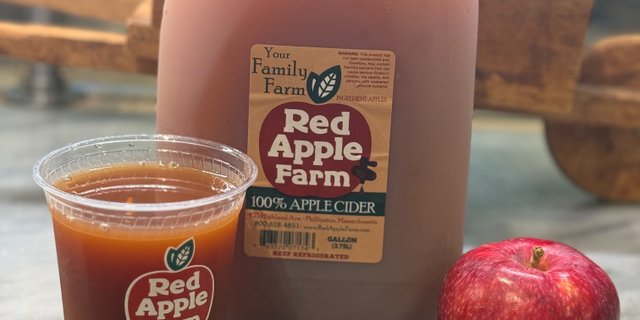 Apple Cider Gallon