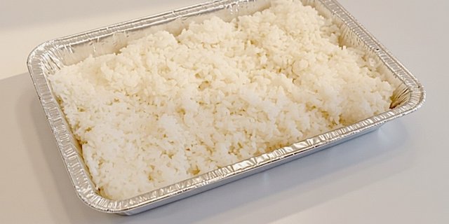 White Rice Tray