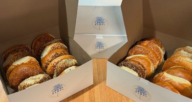 Salty Bagel