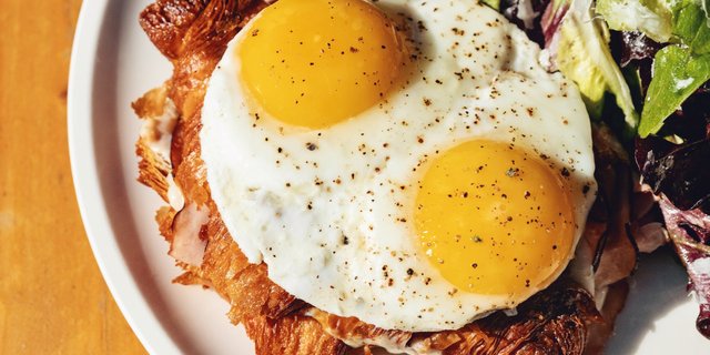 Croque Seniora Panini Sandwich