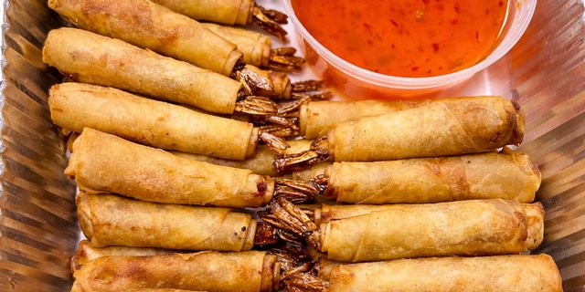 Shrimp Roll Tray