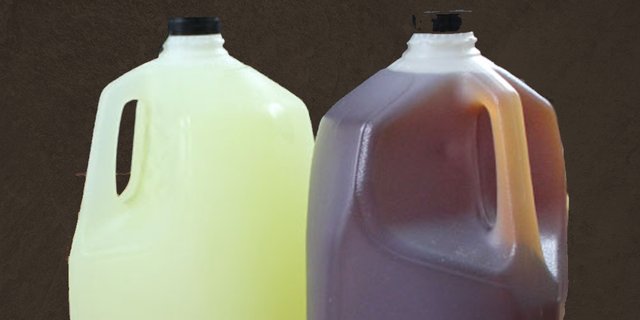 Gallon Iced Tea