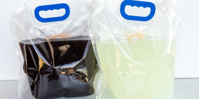 Gallon Iced Tea