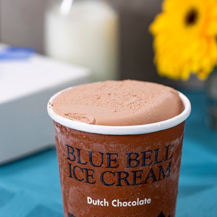 Chocolate Ice Cream Pint